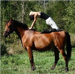 human_horses_gannon_yoga