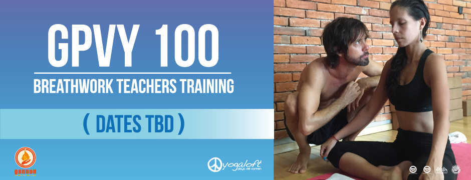 Gannon Power Vinyasa Yoga Teacher Training GPVY 100